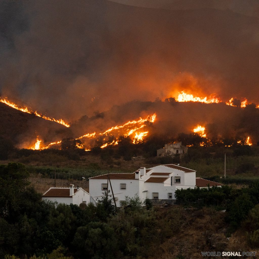 Wildfire Claims 12 Lives in Southern Spain Wildfire Claims 12 Lives in Southern Spain