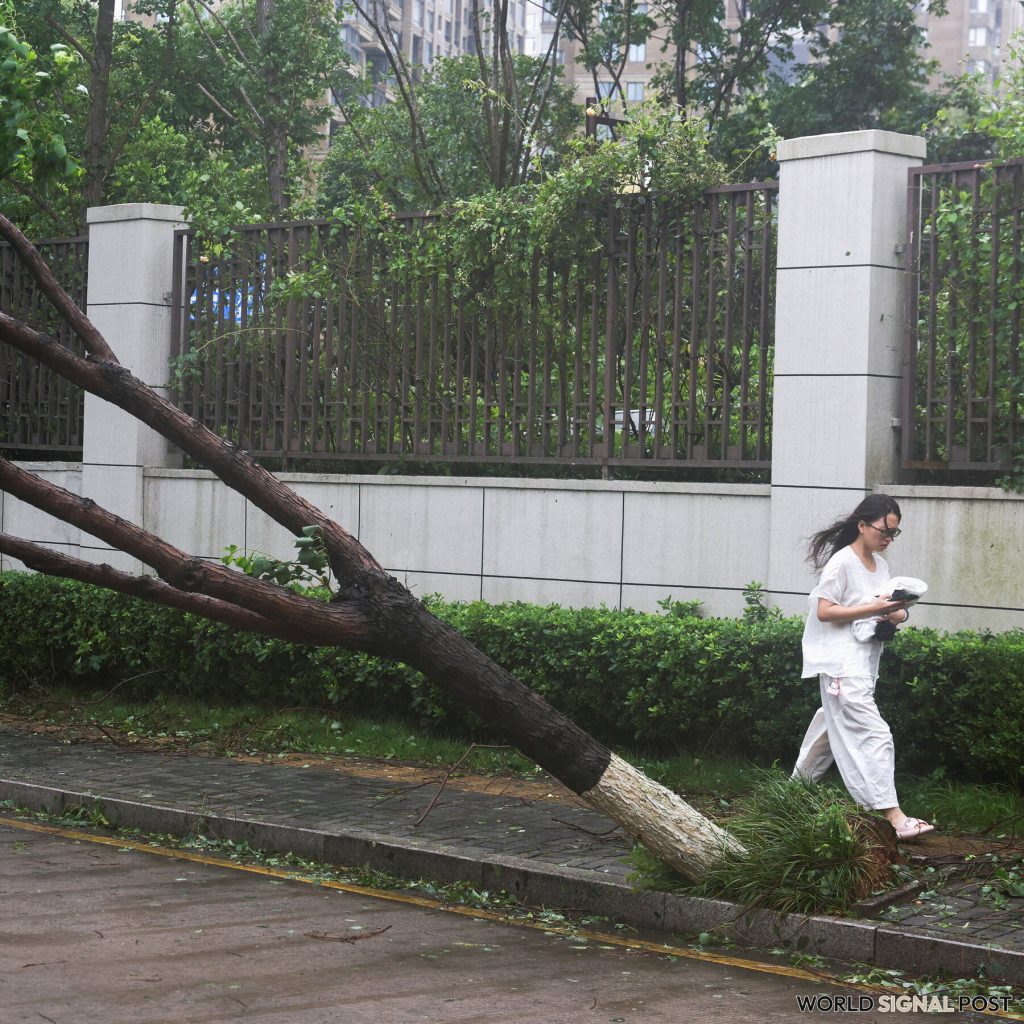 Typhoon Bavi Strikes China, Leading to Evacuations and Disruptions Typhoon Bavi Strikes China, Leading to Evacuations and Disruptions