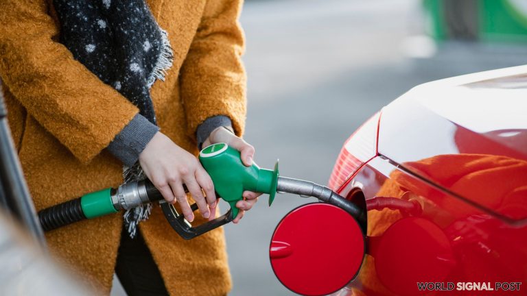 Fuel Price Comparison: The Cheapest and Most Expensive Brands