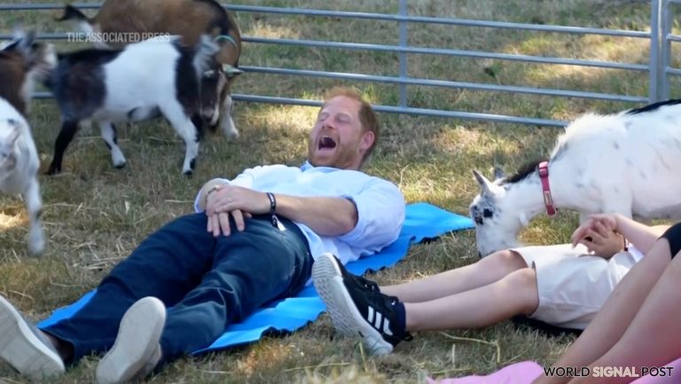 Prince Harry's Goat Yoga Adventure Takes a Comical Turn