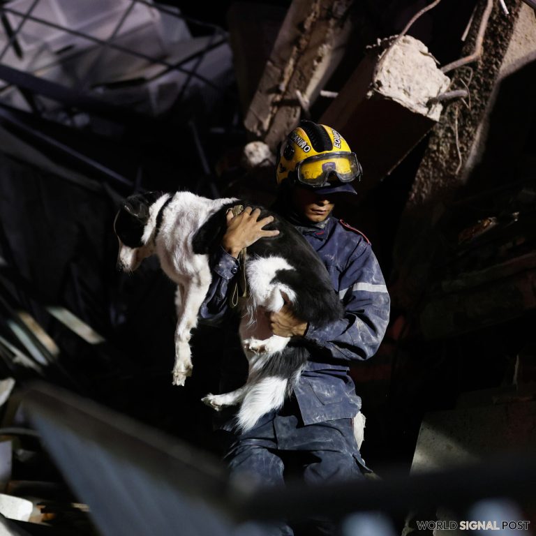 In Venezuela's Ruins, Families Search for Their Pets