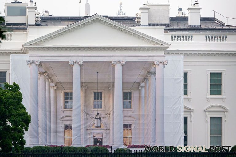 Resignation of Trump's AI Czar Raises Questions